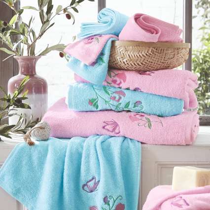 Pois de senteur en folie