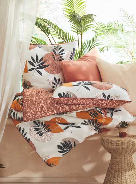 Zoom Terres lointaines